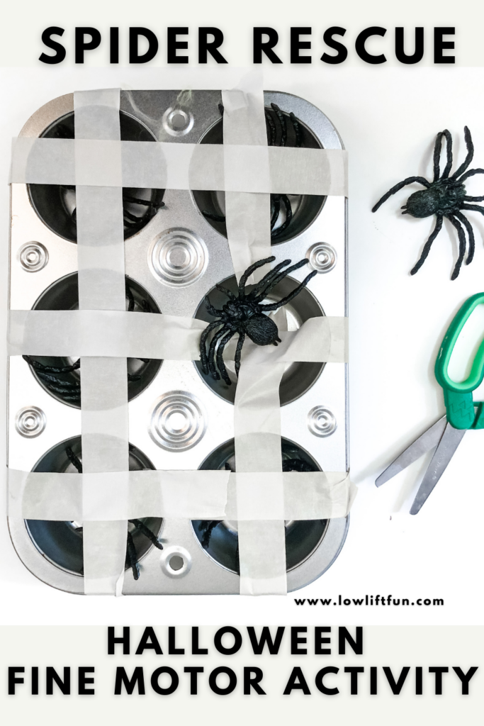 Best Fall Activities for Kids - spider rescue