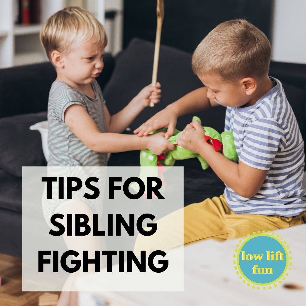 #1 Best Tip for Sibling Fighting