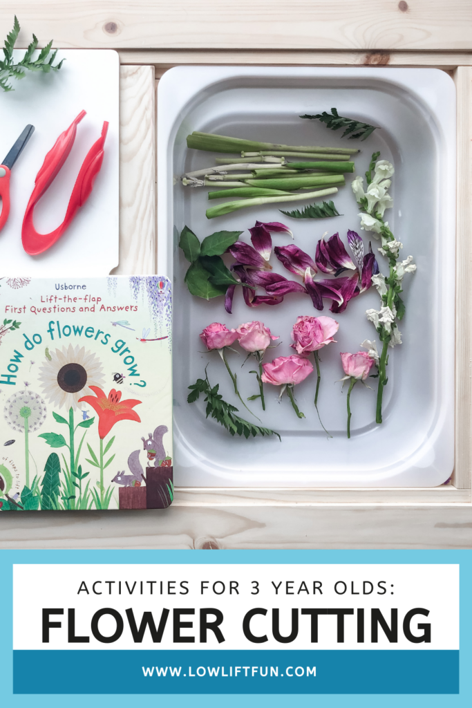 Activities To Do with 3 Year Old - flower cutting bin